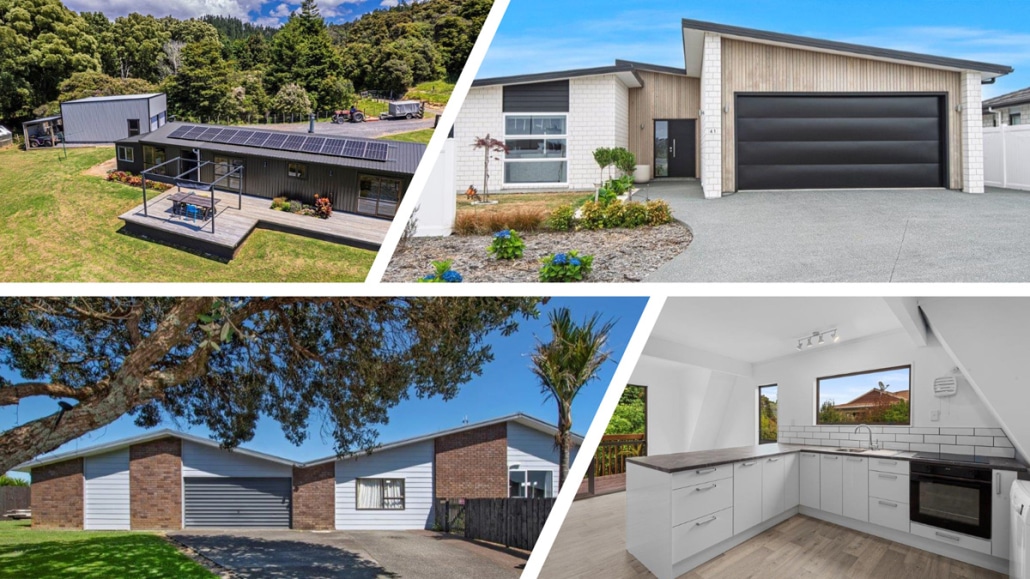 Properties For Sale by Team Davis with Harcourts Whangarei