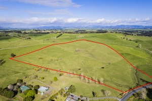 Great Lifestyle Block For Sale by Team Davis with Harcourts Whangarei