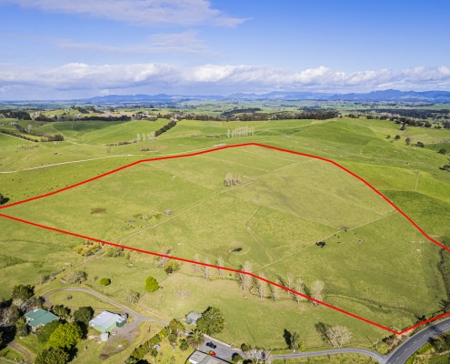 Great Lifestyle Block For Sale by Team Davis with Harcourts Whangarei